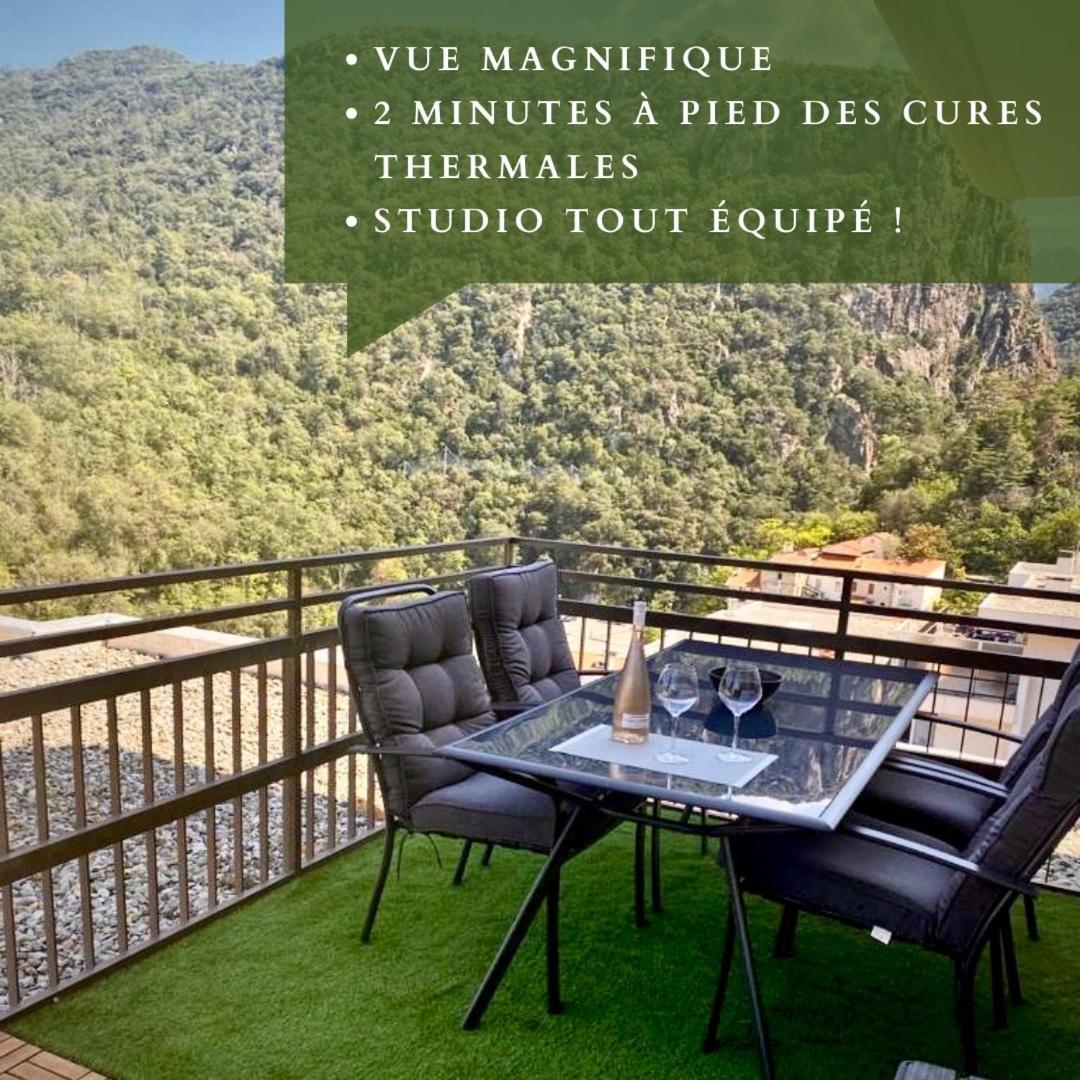 Studio Tout Equipe Amélie-les-Bains-Palalda Kültér fotó