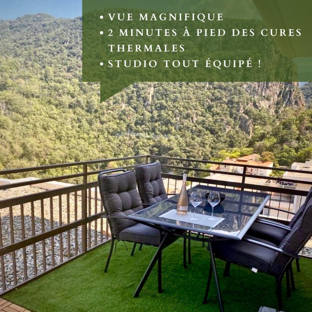 Studio Tout Equipe Amélie-les-Bains-Palalda Kültér fotó
